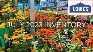 LOWES Inventory July 2023 Lots of Hydrangeas, New Perennials & Clearance!