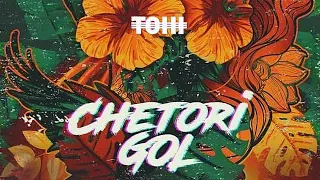 Tohi - Chetori Gol (Lyric) | تهی - چطوری گل (متن)