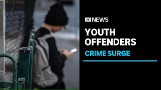 Victoria's crime stats reveal rise in youth offending | ABC News