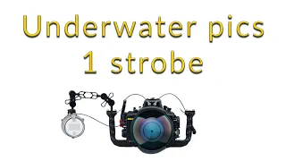 How to make GREAT underwater pictures with 1 strobe