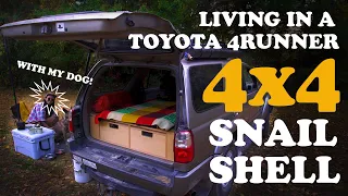 3RD GEN 4RUNNER CAMPER CONVERSION: Dog friendly DIY storage/sleeping platform