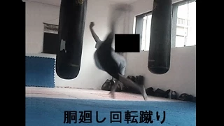 The Power of Do Mawashi Kaiten Geri (Kyokushin Wheel Kick - 胴廻し回転蹴り )