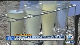 Hybrid wetland treatment technology project