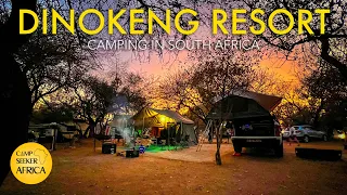 Camping in the Dinokeng Game Reserve | Dinokeng Resort | Overlanding South Africa