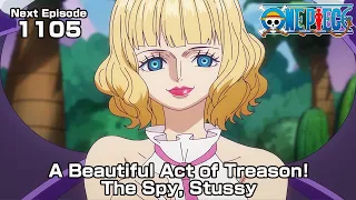 ONE PIECE episode1105Teaser "A Beautiful Act of Treason! The Spy, Stussy"