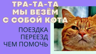 Тра-та-та, мы везём с собой кота. Переезд. Поездка. Что делаем.