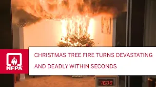 Christmas Tree Fire Turns Devastating and Deadly Within Seconds