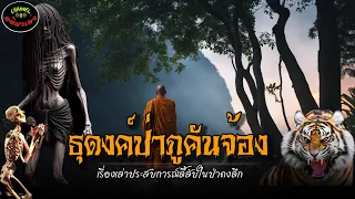 “ธุดงค์ป่าภูคันจ้อง“ลี้ลับในป่าดงลึก|เรื่องเล่าประสบการณ์พระธุดงค์กรรมฐาน