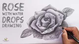 Rose with Water Drops | Flowers Drawing | How To Draw Rose Pencil Shading Realistic