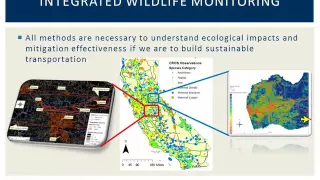 NCST Webinar: Do Highways Act as Barriers to Gene Flow for Wildlife Populations?