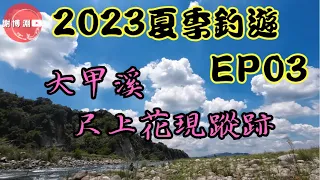 【苦花】2023夏季釣遊EP03｜大甲溪~尺上花現蹤跡｜4K｜Fishing