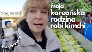 Tak moja koreańska rodzina robi kimchi w Korei, niesamowite ilości kapusty! Życie Polki w Korei