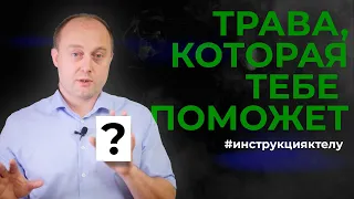 Как лечиться ТРАВАМИ. ФИТОТЕРАПИЯ. #инструкцияктелу