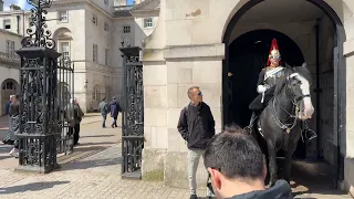 KIDS From all over the world love the king’s horses