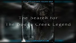 TEXLA Research Boggy creek trailer 2