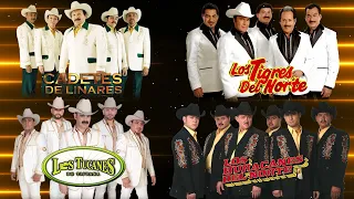 Los Tucanes De Tijuana, Huracanes Del Norte, Tigres Del Norte, Los Cadetes Del Linares Corridos Mix