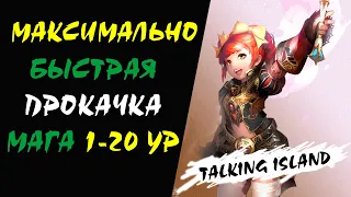 Максимально Быстрая прокачка Мага человека 1-20 ур (HV) Lineage 2