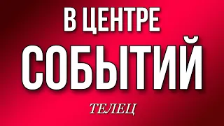 ТЕЛЕЦ,  В центре каких событий окажитесь, гороскоп, таро, неделя, 30.01-5.02.2023 г ,