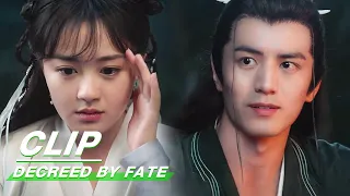 Clip: Rong Er And Tingxiao Spend Night Together | Decreed by Fate EP04 | 千金难逃 | iQiyi