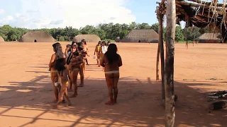 The pequi celebration: hihega