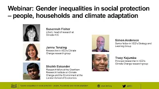 Webinar: Gender inequalities in social protection – people, households and climate adaptation