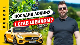 Скільки можна заробити на лохині. Органічна лохина у СВК "Ягідки" / Куркуль