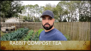 Easy & Effective Compost Tea How To - Boost Plant Growth