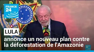 Brésil : Lula annonce un nouveau plan contre la déforestation de l'Amazonie • FRANCE 24