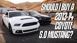 Should I buy a (2013-2014) Coyote 5.0 Mustang? | *BEST BANG FOR YOUR BUCK!*