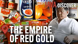 Secrets of the Tomato Industry: The Empire of Red Gold | Food & Agriculture Documentary