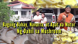 Bagong Bahay, Apat na Motor at Navarra ng Dahil sa Mushroom