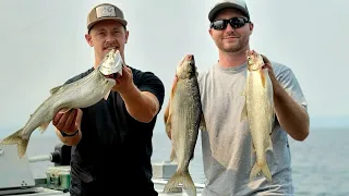 Catching lake whitefish on Flathead Lake