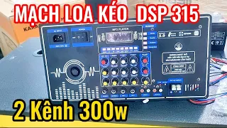 Bo mạch loa kéo 2 kênh DSP 315 công suất 300w/Tiên Tiến Audio