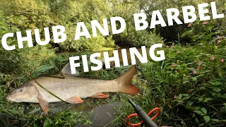 Chub and Barbel Fishing, River Nidd