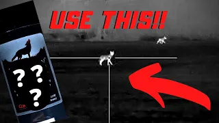 Coyote Hunting- USE THIS and kill more coyotes