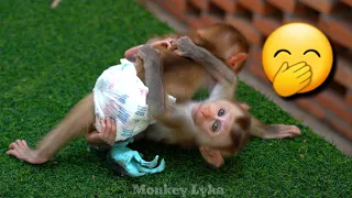 Baby Monkey Lyla Very playful, boring