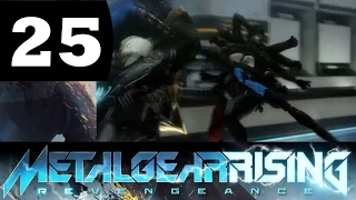 Let's Play Metal Gear Rising: Revengeance Blind Part 25: Mistral and Monsoon Rematch