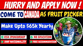 RELOCATION MADE EASY!!! FRUIT PICKER JOB WITH VISA SPONSORSHIP, FLIGHT, & HOUSING FOOD - Apply Now!