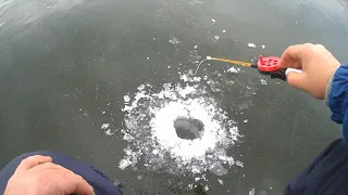 Рыбалка по первому льду. Ловля на мормышку с мотылем
