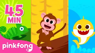 Lagu Baby Shark & Monyet & Cicak | Hewan & Binatang untuk Anak | Pinkfong Baby Shark