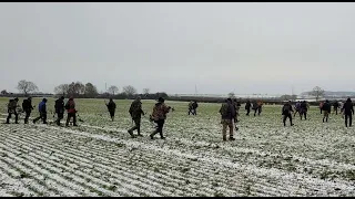 Skubėjom į laukus sidabro ieškoti