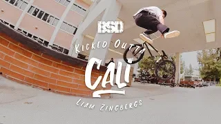 BSD BMX -  Liam Zingbergs - Kicked Outta Cali