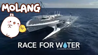 Molang - Special announcement : 🚢🌊 Race for Water !