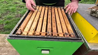 261. Priehliadka včelstiev v drevenom a styrodurovom úle