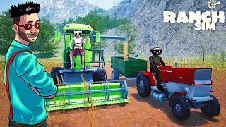 РАНЧО ПРОЦВЕТАЕТ! СОБИРАЕМ ПЕРВЫЙ УРОЖАЙ С ПОЛЯ В RANCH SIMULATOR