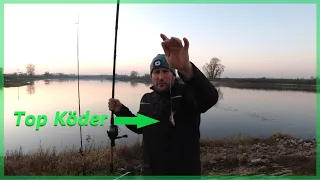 Winterangeln am Fluss Elbe mit Köderfisch und Wurm auf Quappen