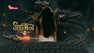 NAGIN 4 || #NAGIN REVENGE START || #NAGIN4 START ON MID NOVEMBER ||