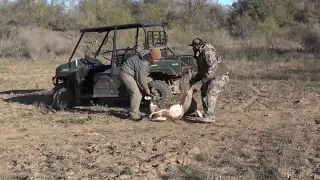 Whitetail Deer Season In Texas  (Catch Clean Cook)