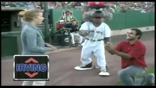 Marriage Proposal Gone Wrong at Baseball Game Rock Cats (PART 5)