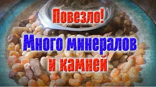 Собираю минералы и камни после зимы на отмели древнего моря.